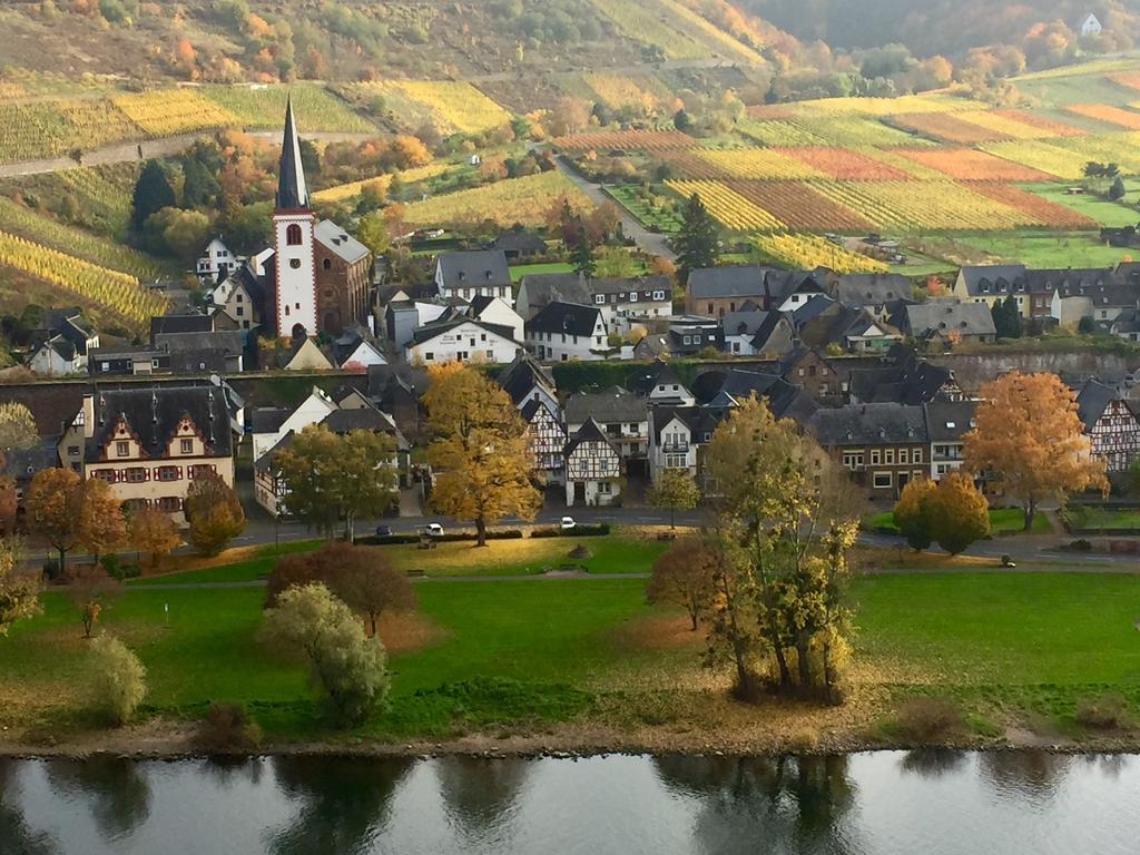Mosel-goetterlay Apartment Bruttig-Fankel